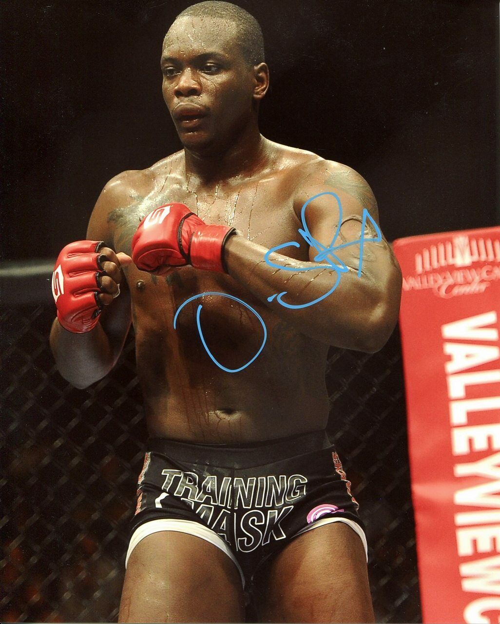 Ovince St. Preux UFC Autographed Signed 8x10 Photo Poster painting CFS COA