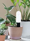 Intelligent Soil Moisture Tester Humidity Meter Lawn Plants Flower Soil Monitor