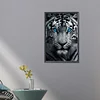 (Grande Taille) Tigre blanc avec des yeux bleus-partiel ab rond diamant peinture-40 * 60cm