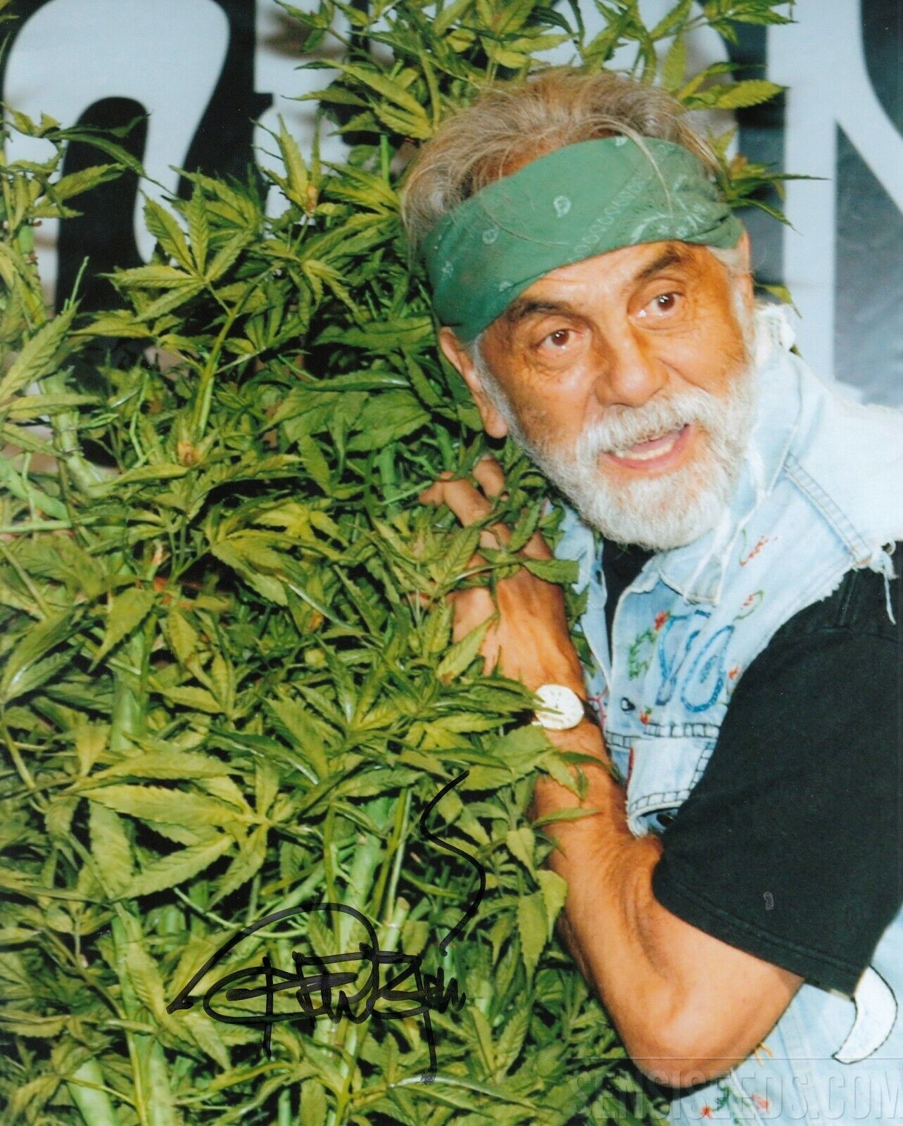 Tommy Chong #0 8x10 Signed Photo Poster painting w/ COA Actor 033119