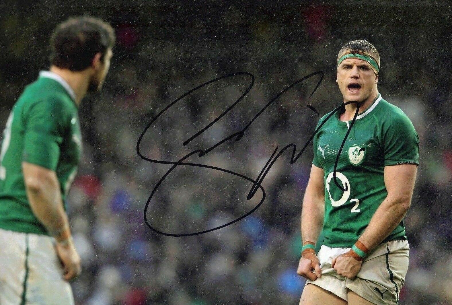 Jamie Heaslip Signed 12X8 Photo Poster painting Lions Leinster & Ireland Rugby AFTAL COA (2185)