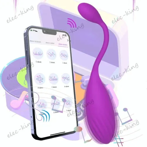 pornhint Pornhint APP Wireless Remote Egg Bullet Vibrator G Spot Dildo Massager Sex Toy for Women