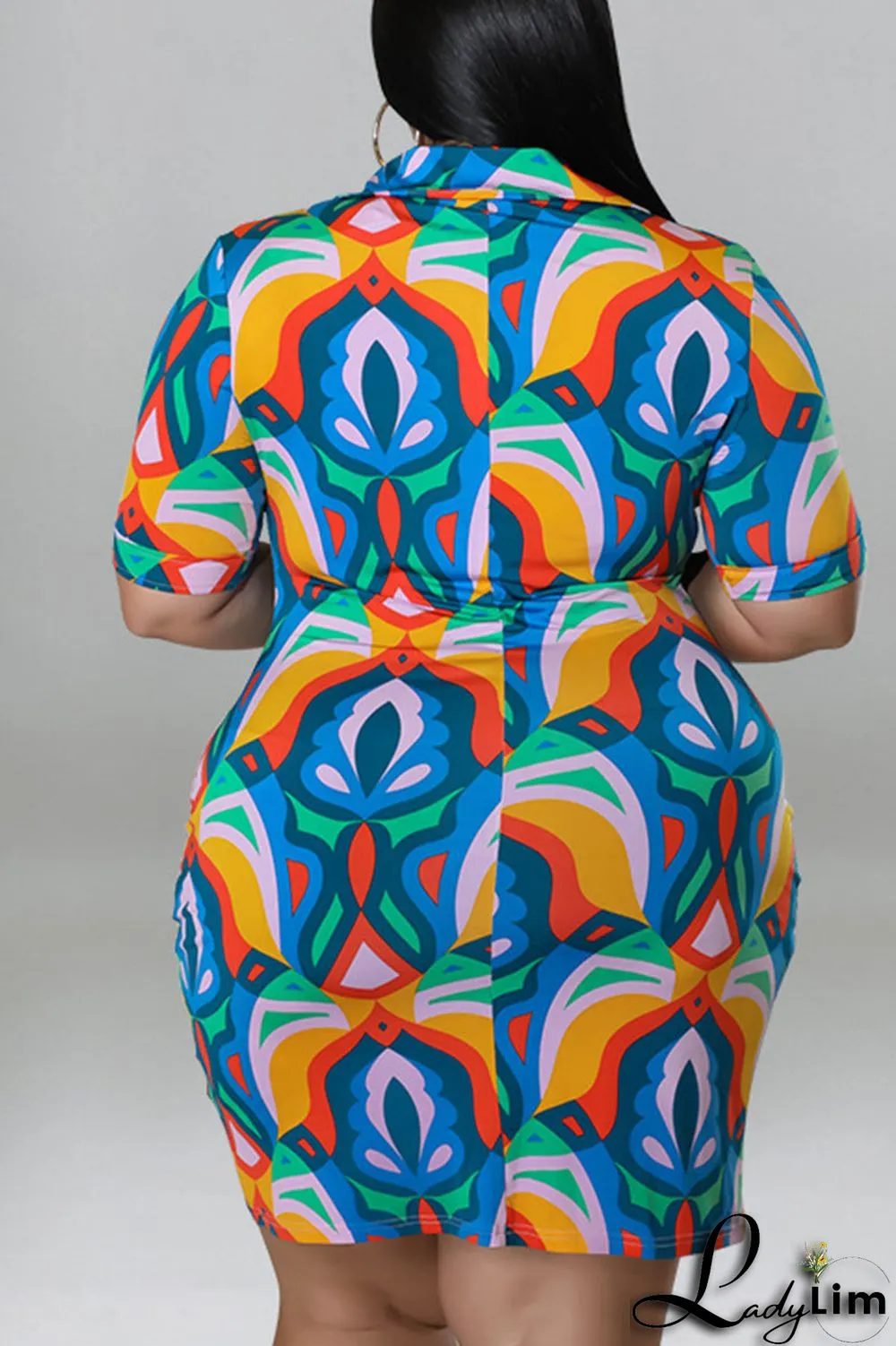 Coffee Casual Print Patchwork Buckle Turndown Collar Shirt Dress Plus Size Dresses