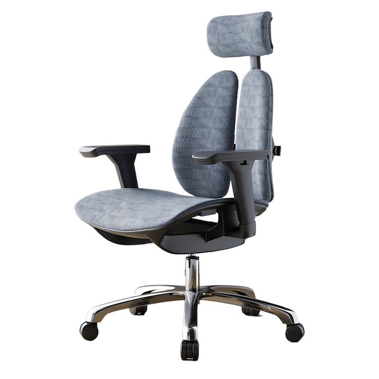 B-W08 Twin Back Ergonomic Chair 