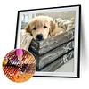 Chien - Rond Diamant Peinture 30X30CM