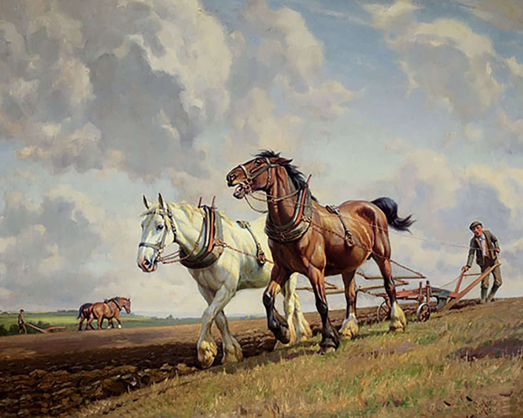 

Horse Ploughing – Paint By Numbers - 40*50CM, 501 Original