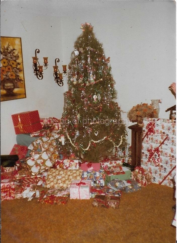 Christmas Tree FOUND Photo Poster painting ColorOriginal Snapshot VINTAGE 04 16 T