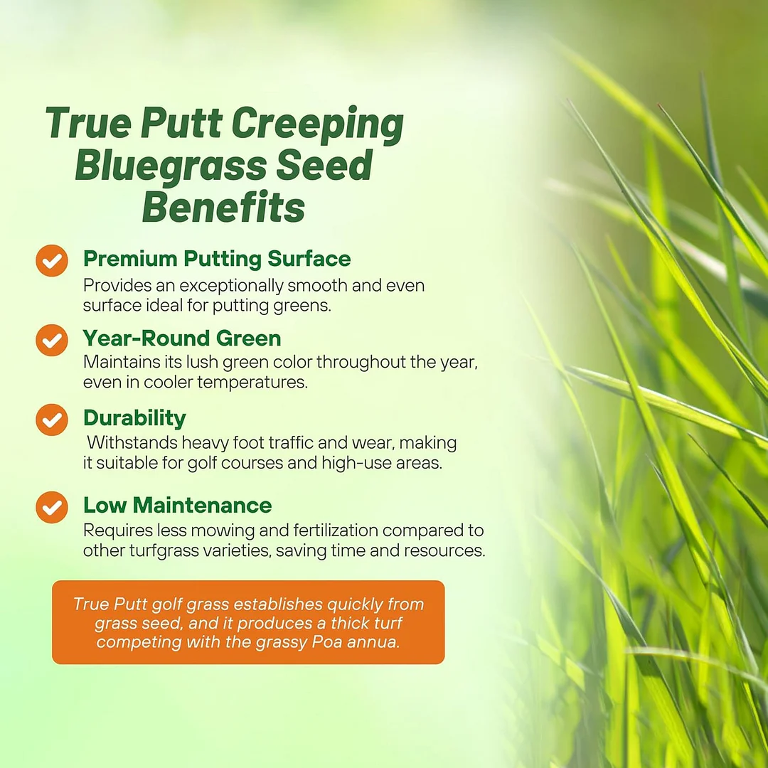 True Putt Creeping Bluegrass Seed