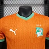 2024/2025 Player Version C&ocirc;te d'Ivoire Home Football Shirt 1:1 Thai Quality