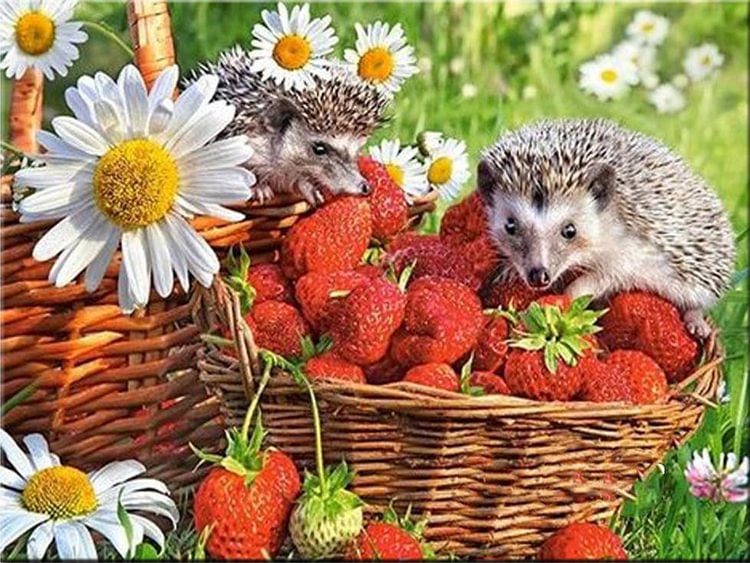 Everydayedeals Peinture au diamant - Perceuse complète - Hedgehog