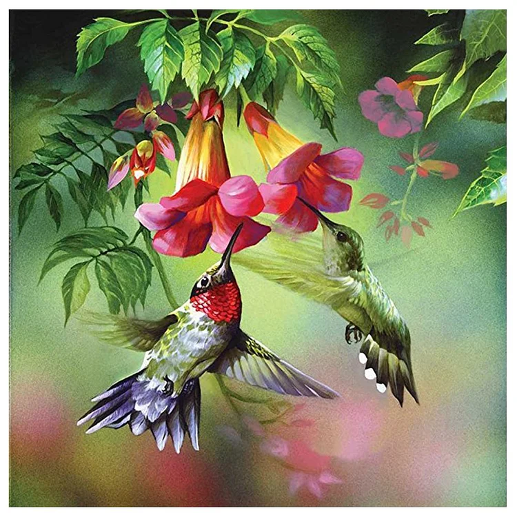 Birds Animal Round Full Drill Diamond Painting 30X30CM(Canvas) gbfke