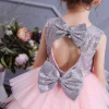 Girl Ceremonies Dress Wedding Party Birthday Gown Vestidos Tutu Dress - honeylives