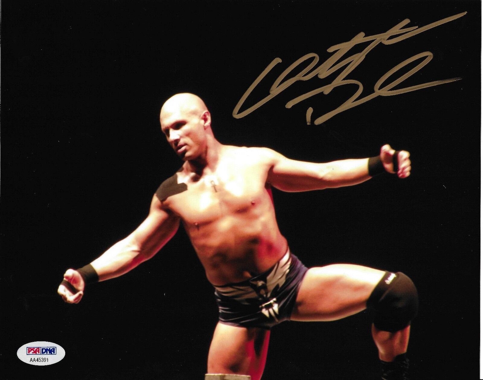 Christopher Daniels Signed TNA 8x10 Photo Poster painting PSA/DNA COA ROH WWE Wrestling Picture