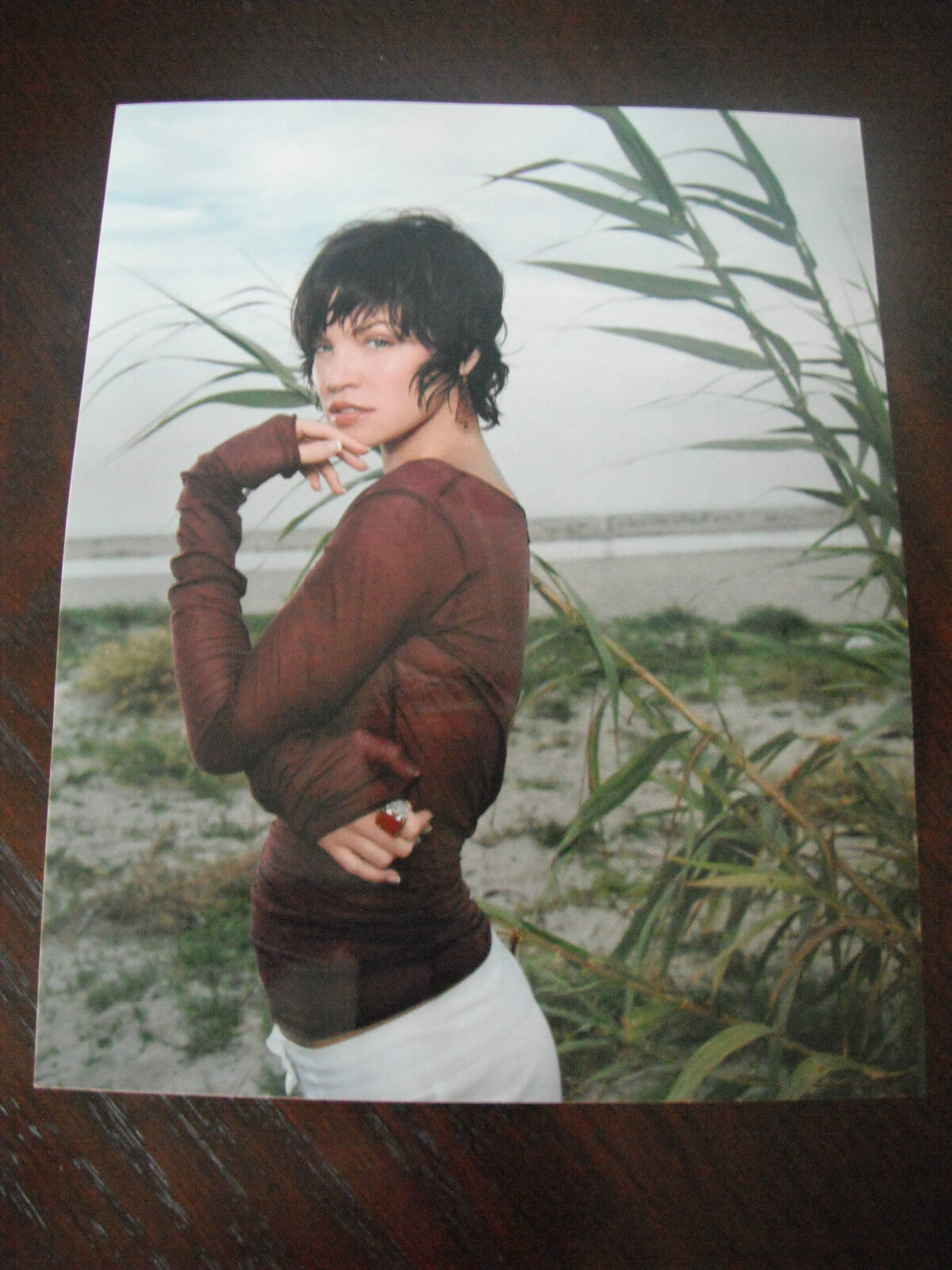 Ashley Scott Color 8x10 Promo Photo Poster painting Picture