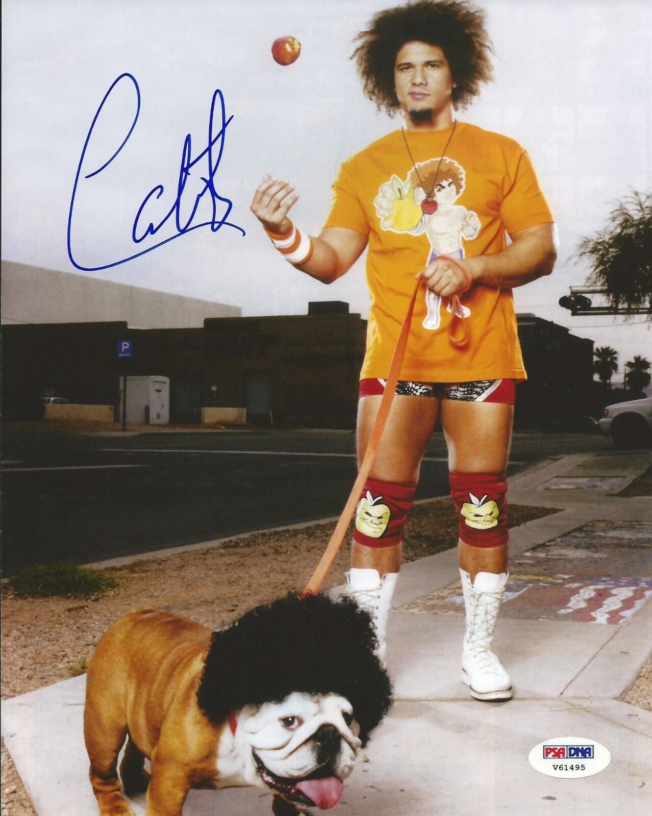Carlito Carly Carlos Colon Signed WWE 8x10 Photo Poster painting PSA/DNA COA Picture Wrestling