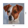 uk.everydayedeals (Limited Stock)Paint By Number - Oil Painting -  Dog (40*40Cm)