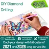 2027-2028 Two-Year Diamond Painting Calendar Kit, 13 Exquisite Multicolor Butterfly And Floral Illustrations, Large Size Desk Calendar, Mosaic Art Coil-Bound Desktop Planner