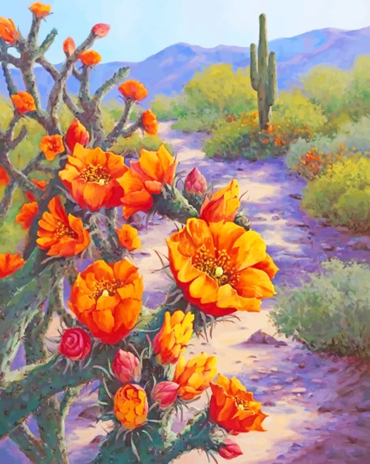 

Orange Flowers And Cactus – Paint By Numbers - 40*50CM, 501 Original