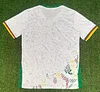 2026 Cameroon Away Football Shirt 1:1 Thai Quality