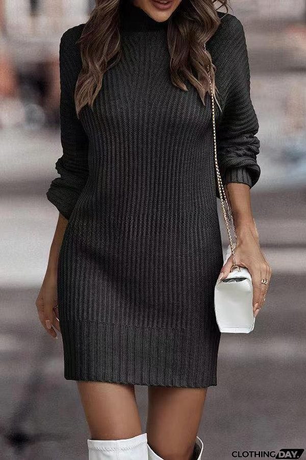 Rieuh Turtleneck Long Sleeve Knitted Mini Dress