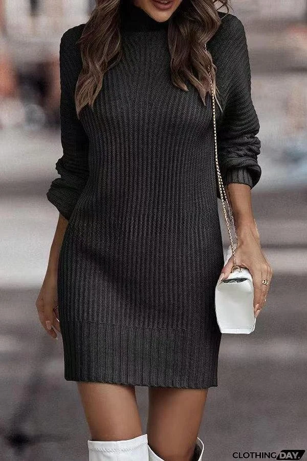 Rieuh Turtleneck Long Sleeve Knitted Mini Dress
