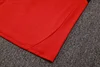 Joyfball 2025/2026 Liverpool Half-Pull Training Suit Red Jersey 1:1 Thai Quality 