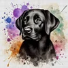 (Multi-Style) Colorful Dog-11CT Stamped Cross Stitch 40*40cm/15.75*15.75in