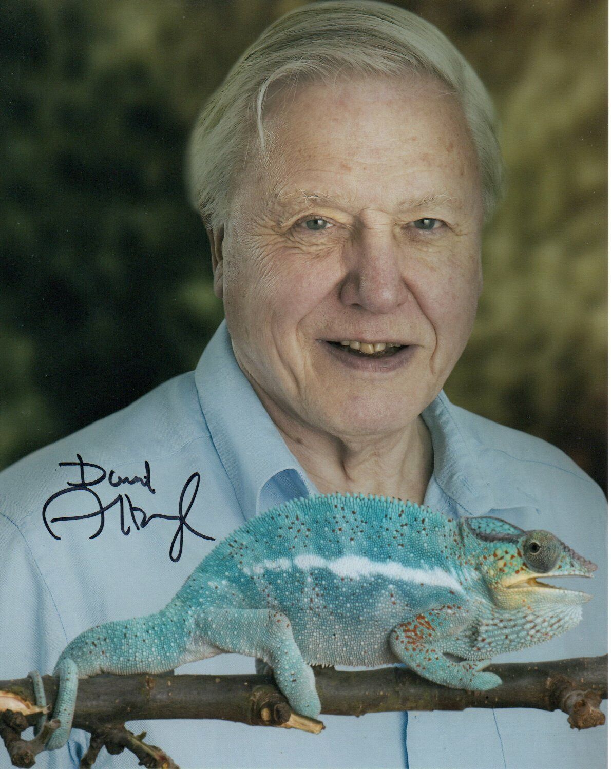 David Attenborough HAND Signed 10x8' Photo Poster paintinggraph Naturalist Broadcaster Autograph