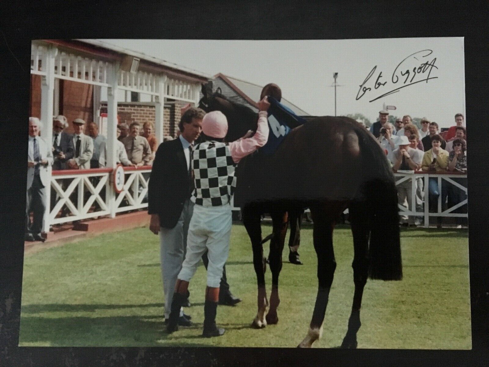 LESTER PIGGOTT - LEGENDARY JOCKEY - SIGNED WINNING Photo Poster painting - THAMESTAR REDCAR 1992