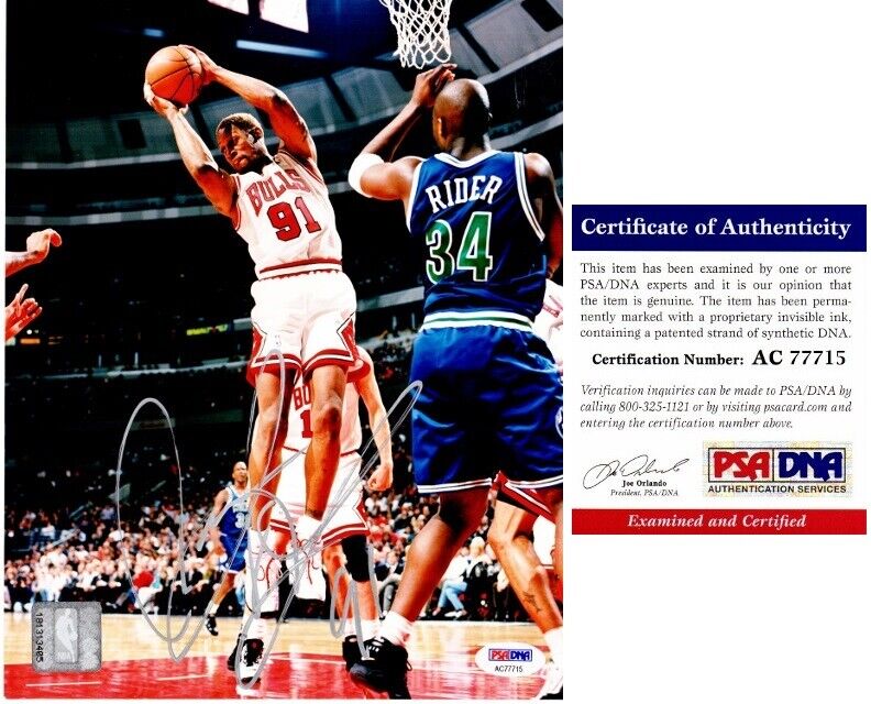 Dennis Rodman Signed - Autographed Chicago Bulls 8x10 inch Photo Poster painting - PSA/DNA COA