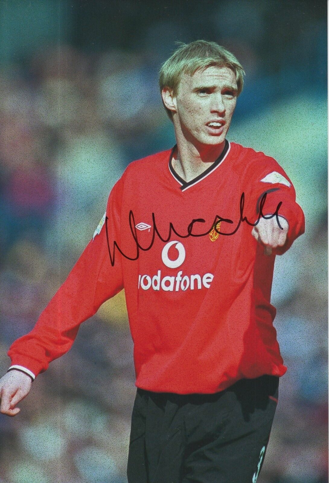 Luke Chadwick Hand Signed Manchester United 12x8 Photo Poster painting 1.