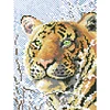 Bead Embroidery - Partial Printed 9CT Tiger(28x20 CM)
