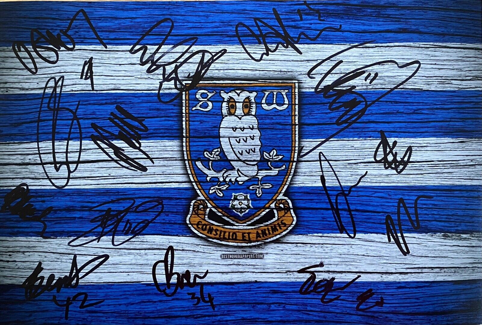 Sheffield Wednesday Photo Poster painting Signed By 2021/22 Squad Inc Bannan, Paterson, Proof, 2