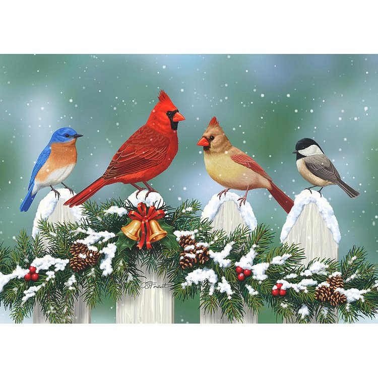 Bird   Diamond Painting 40*30CM