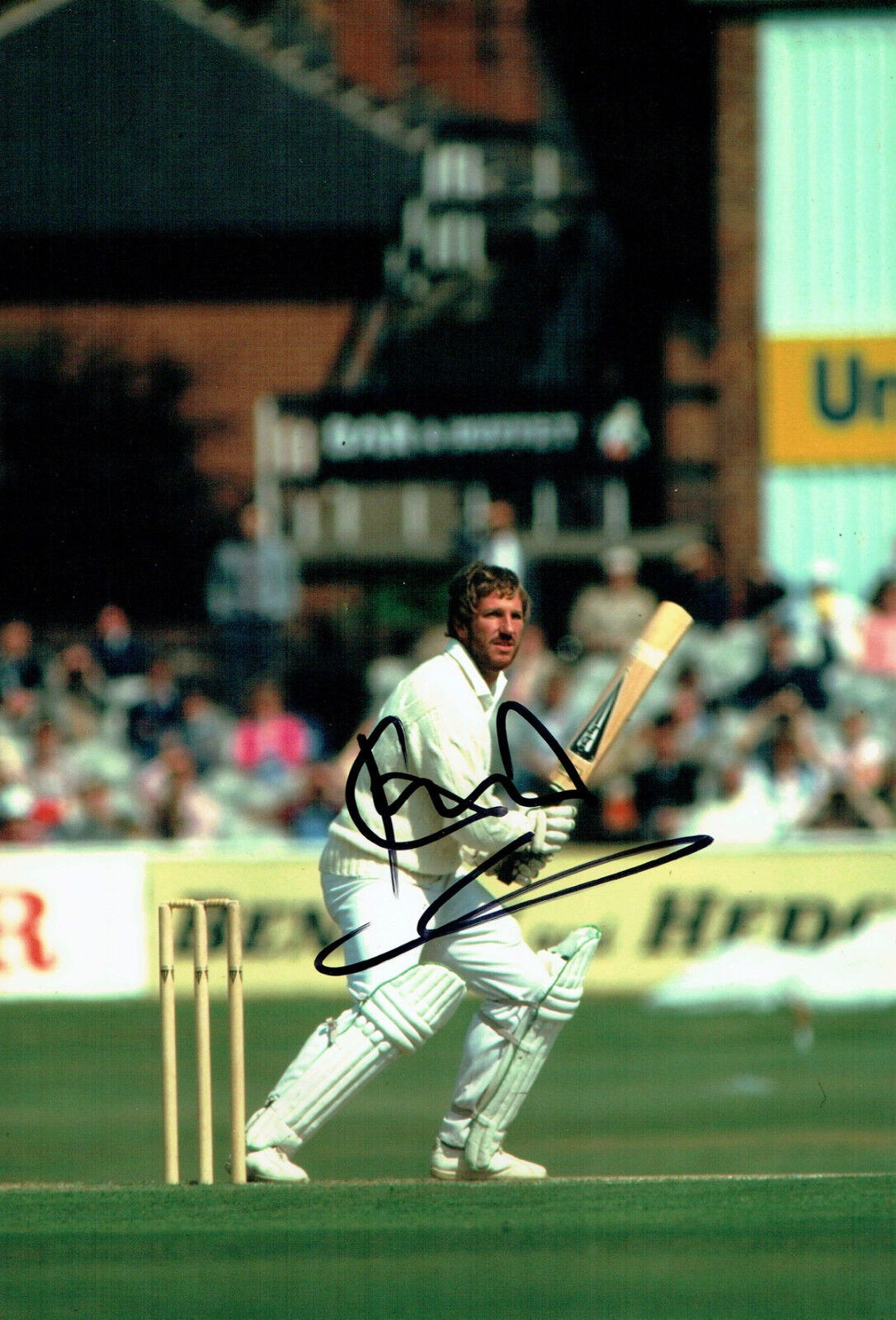 Ian BOTHAM Signed Autograph 12X8 Cricket Photo Poster painting England LEGEND AFTAL COA