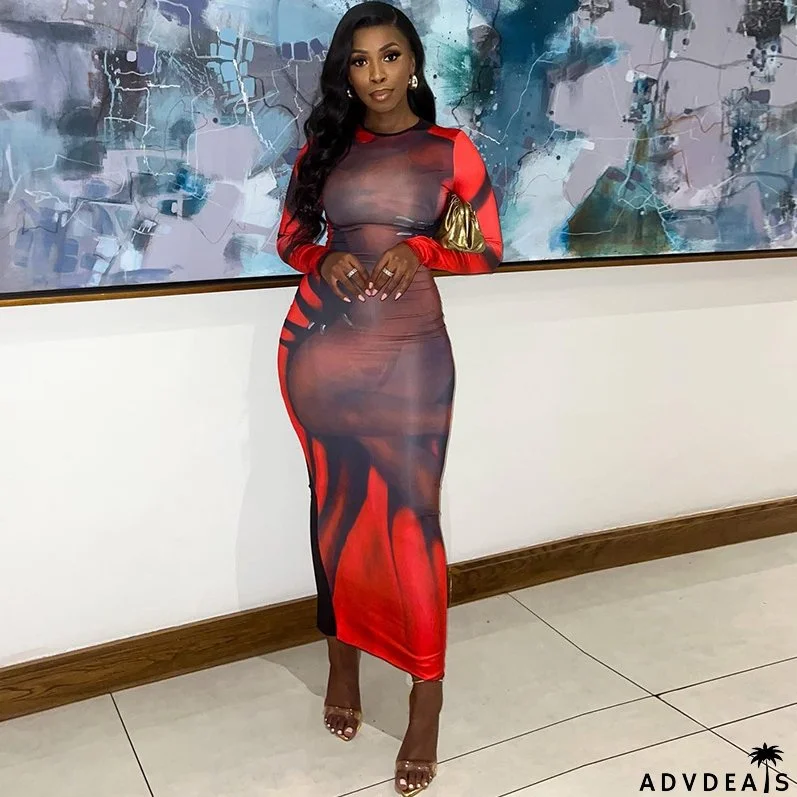 Trendy Women Street Fashion Printed Round Neck Pullover Long Sleeve Bodycon Casual Dress