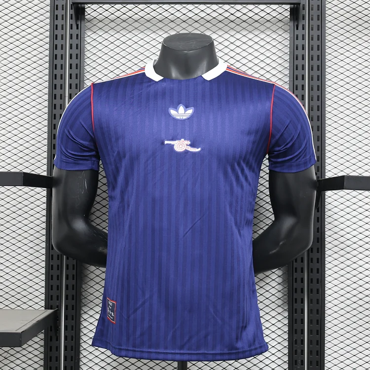 Player 2025-2026 Arsenal Purple Special Edition Football Shirt