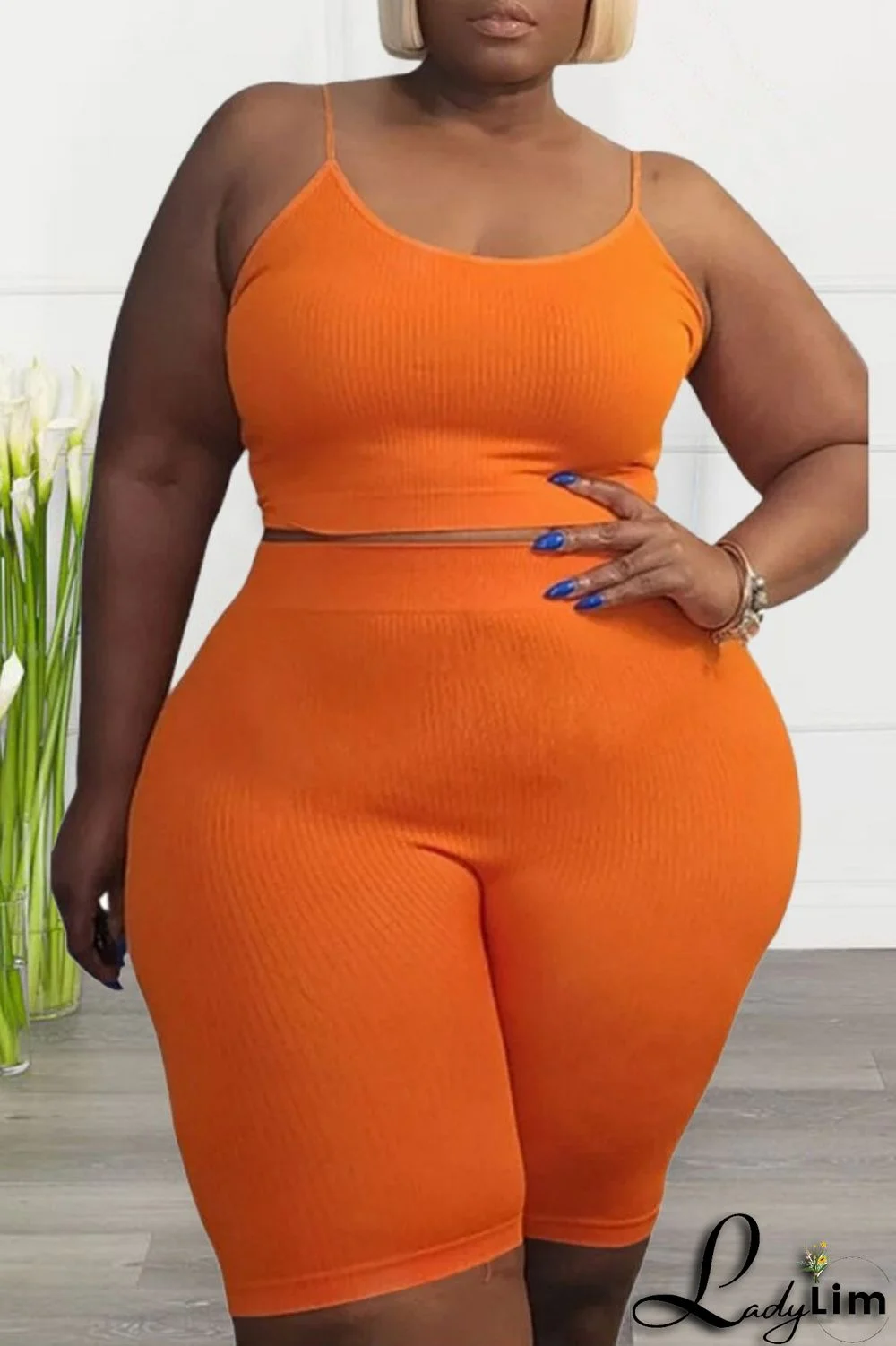 Black Sexy Casual Solid Backless Spaghetti Strap Plus Size Two Pieces