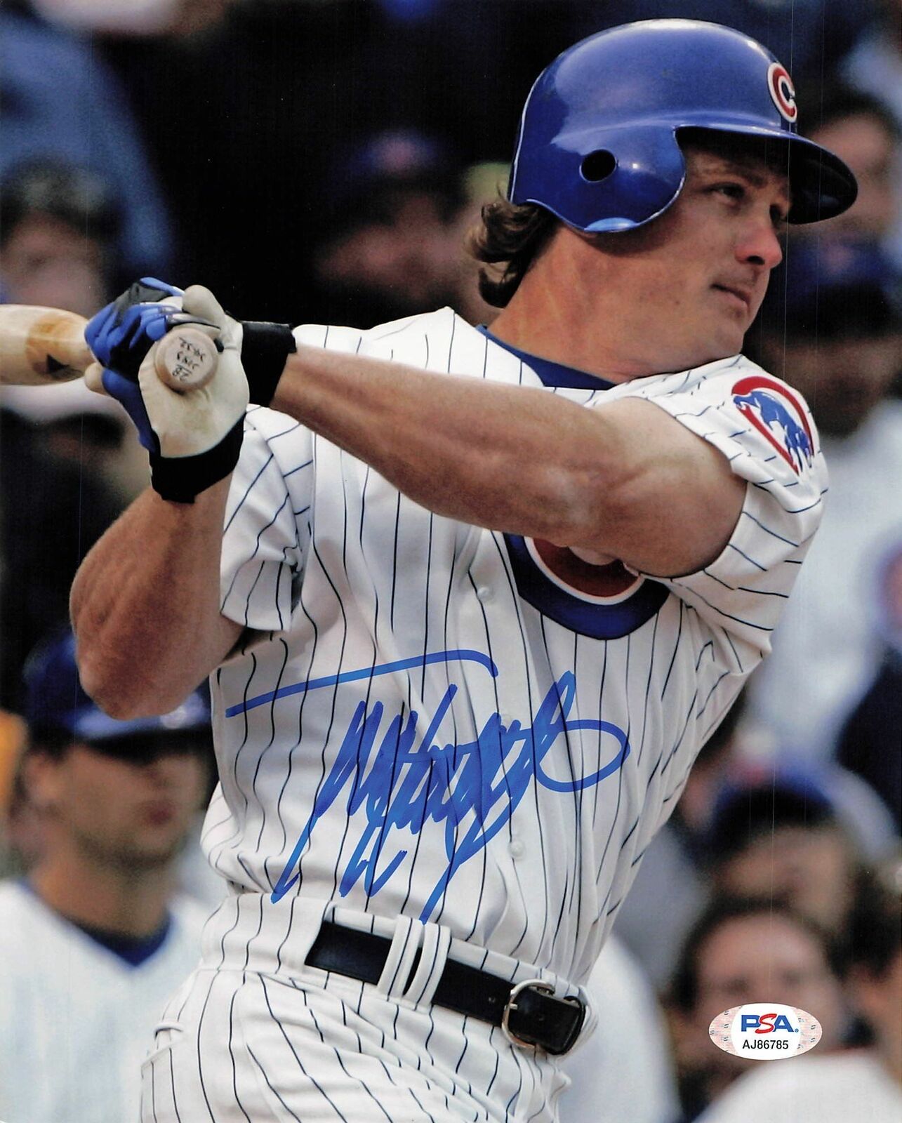 TODD HOLLANDSWORTH signed 8x10 Photo Poster painting PSA/DNA Chicago Cubs Autographed