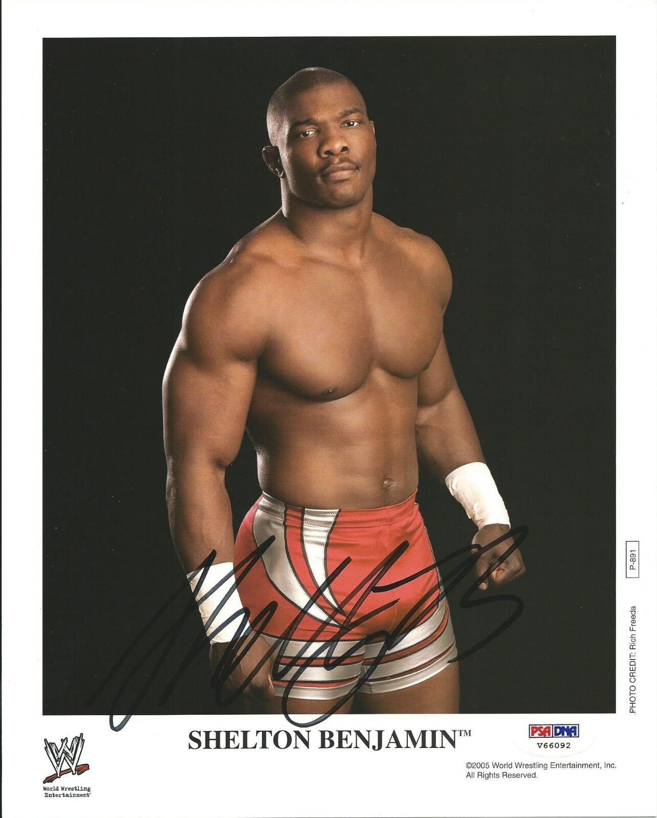 Shelton Benjamin Signed WWE 8x10 Photo Poster painting PSA/DNA COA ROH World's Greatest Tag Team