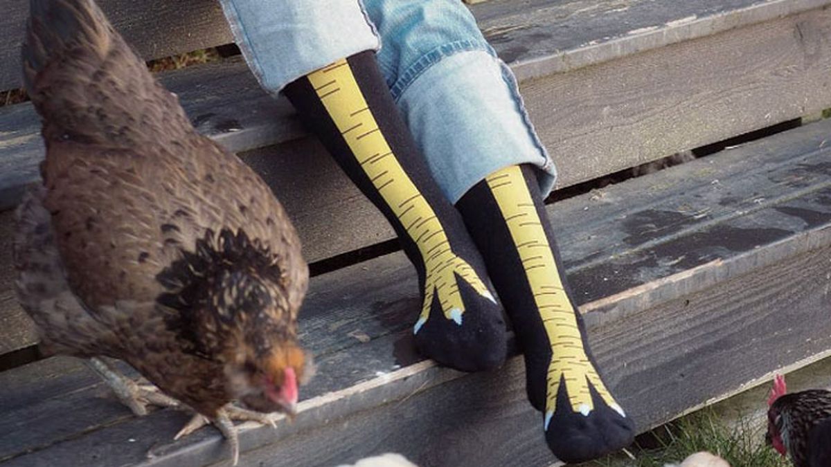 Image result for chicken socks