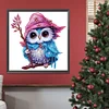 >SALE<5D DIY Partial Special Shaped Drill Diamond Painting Magic Owl Kit Decor 30x30cm