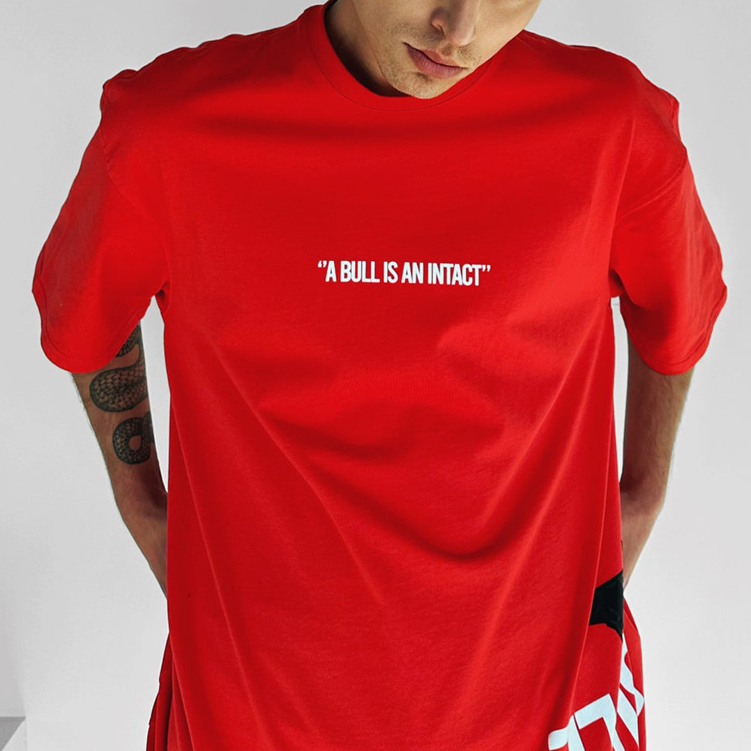 oversize-bull-tee