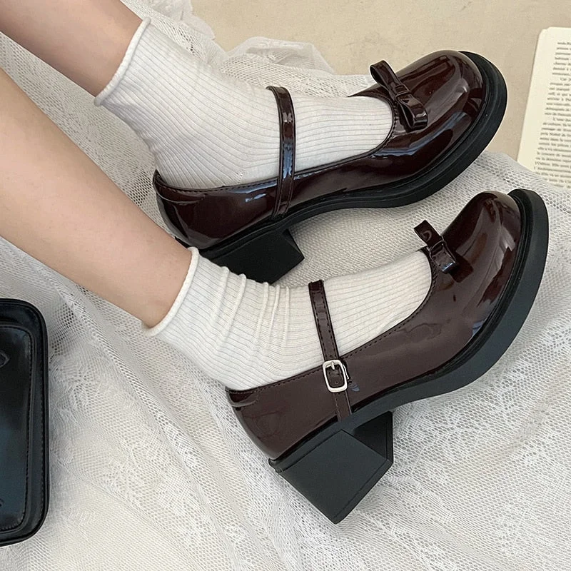 Lourdasprec Vintage High Heel Mary Jane Shoes for Women 2023 New Summer Bow Brown Round Head English Style Small Leather Shoes