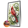 (40*60cm)Cardinal - Full Round Drill Diamond Painting