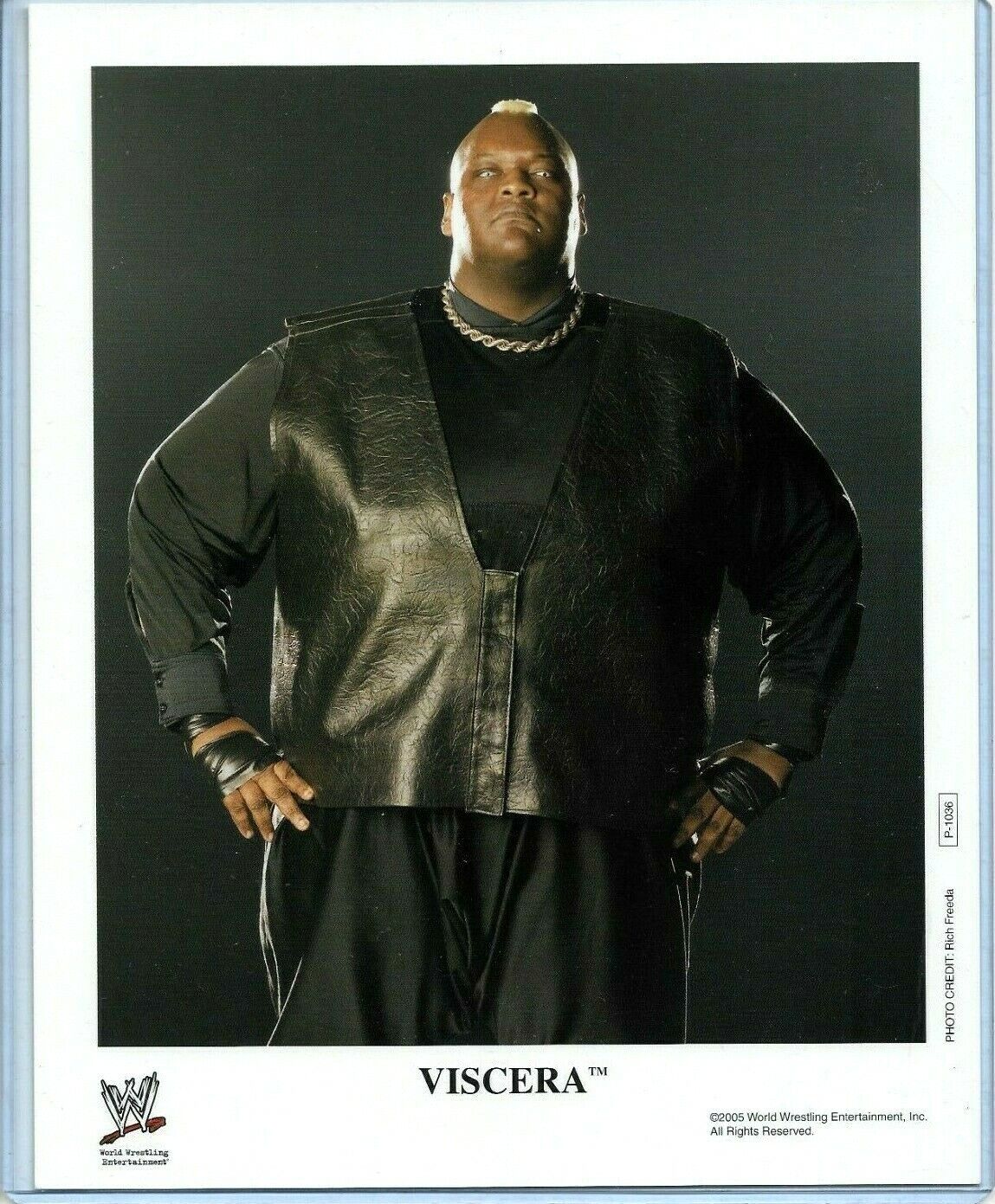 WWE VISCERA P-1036 OFFICIAL LICENSED AUTHENTIC ORIGINAL 8X10 PROMO Photo Poster painting RARE