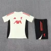 2025/2026 Liverpool Training Wear Set White Football Shirt 1:1 Thai Quality