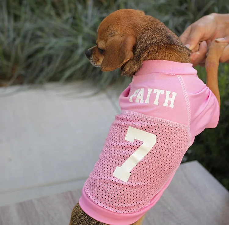 Personalised dog football shirts hotsell