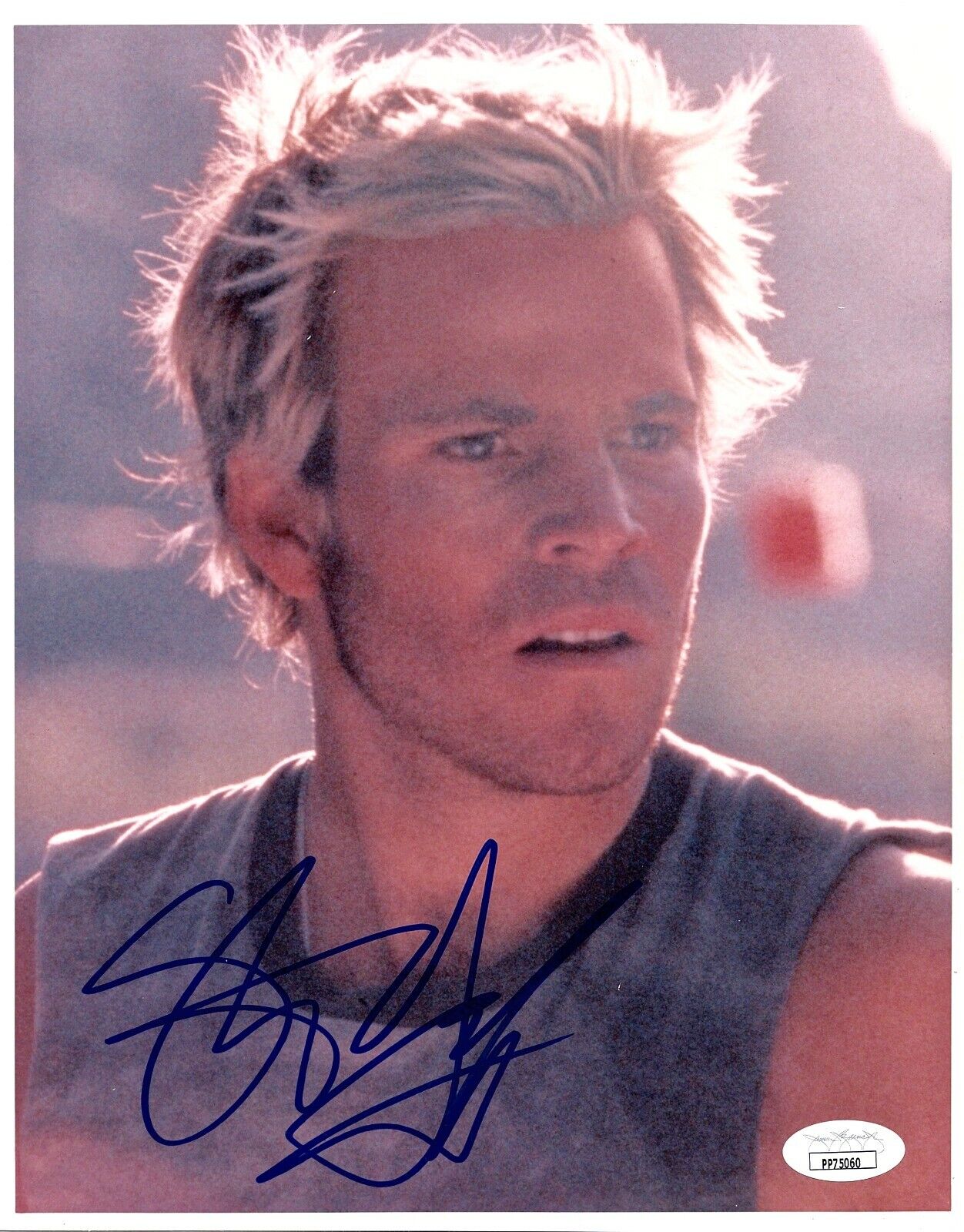 STEPHEN DORFF Autographed SIGNED 8x10 Photo Poster painting TRUE DETECTIVE BLADE JSA CERTIFIED