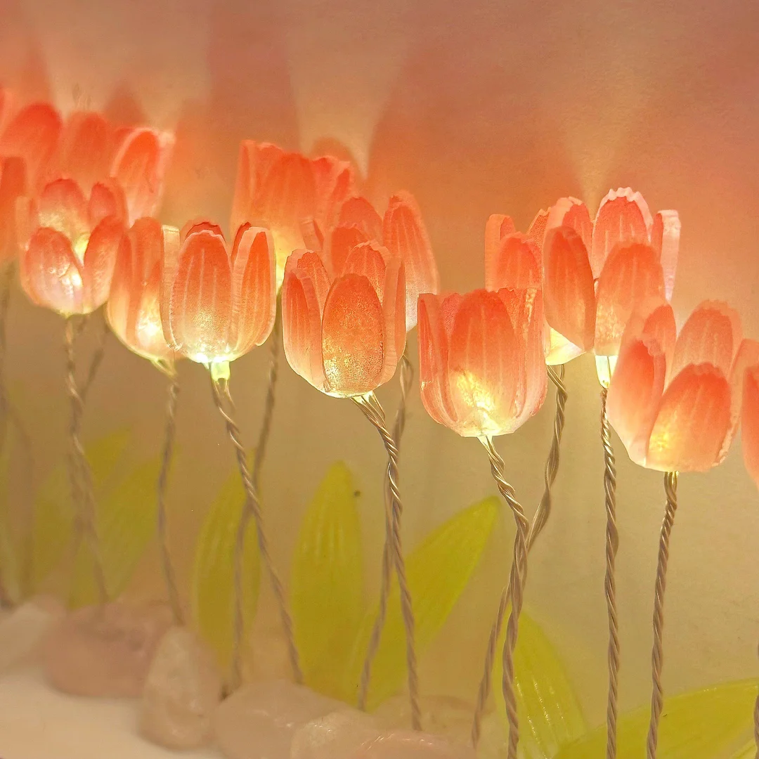 DIY Tulip Frame Light